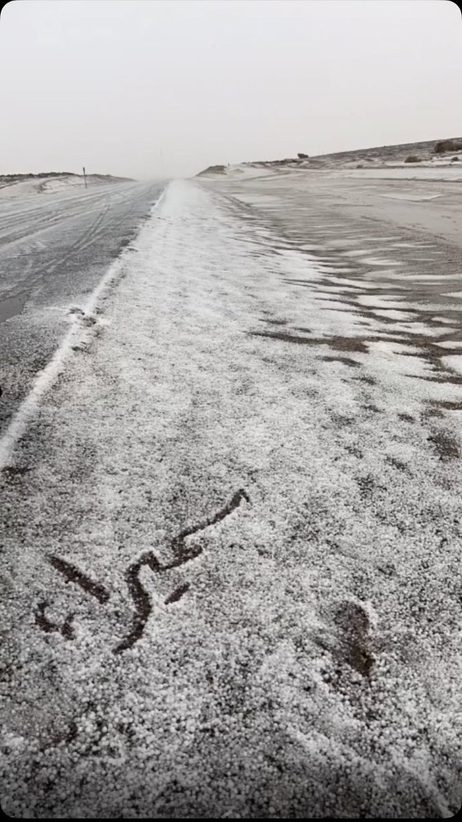 abode_bb52's tweet image. ما شاء الله ، بردية
شمال محافظة #سميراء مفرق العظيم
الاثنين ١٤٤٦/٧/٦ هـ