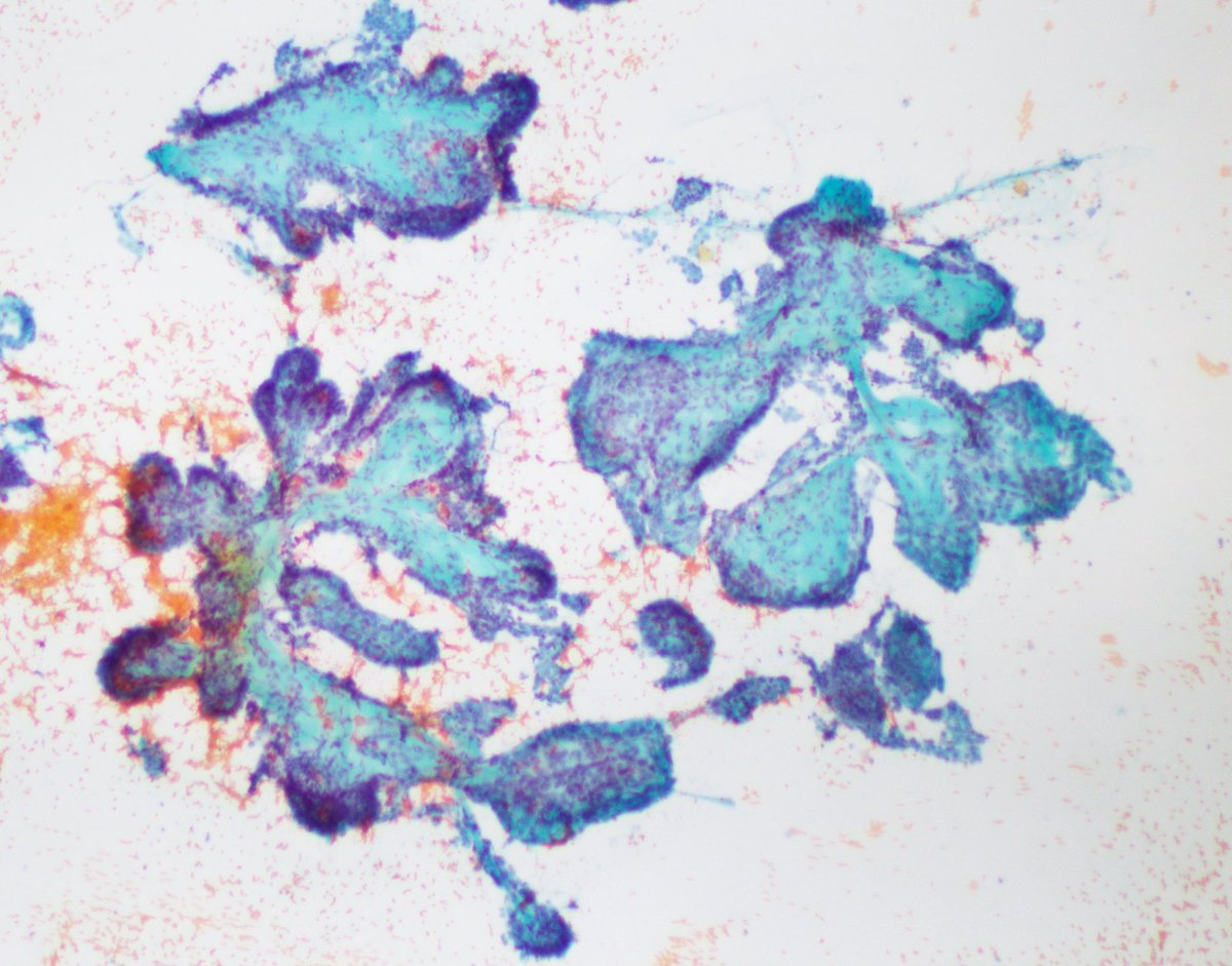 Vanda Torous MD tweet media