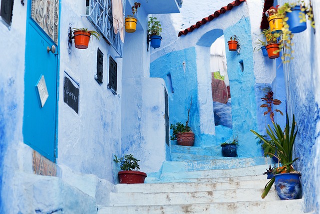 where2world's tweet photo. Chefchaouen, Morocco
Nestled in the Rif Mountains, this enchanting town is famous for its vibrant blue-painted streets. Did you know the blue was originally used to ward off mosquitoes? Would you explore its winding alleys and learn the secrets of its history? 💙🏞️
#Chefchaouen https://t.co/WWtFOc9A9F