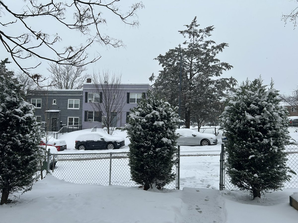 Happy Snow day DC! Be safe + stay warm ❄️🌨️