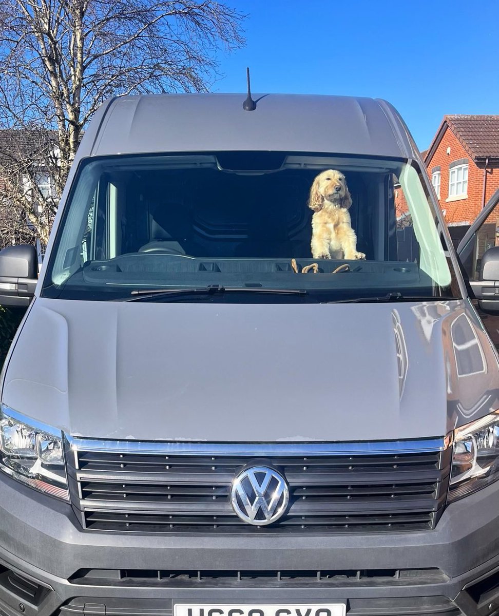 Rob_W_1991's tweet photo. The definition of a mid-life crisis at 33:

Building a camper van so you can take your dog travelling with you. https://t.co/Og8GUF6DGd