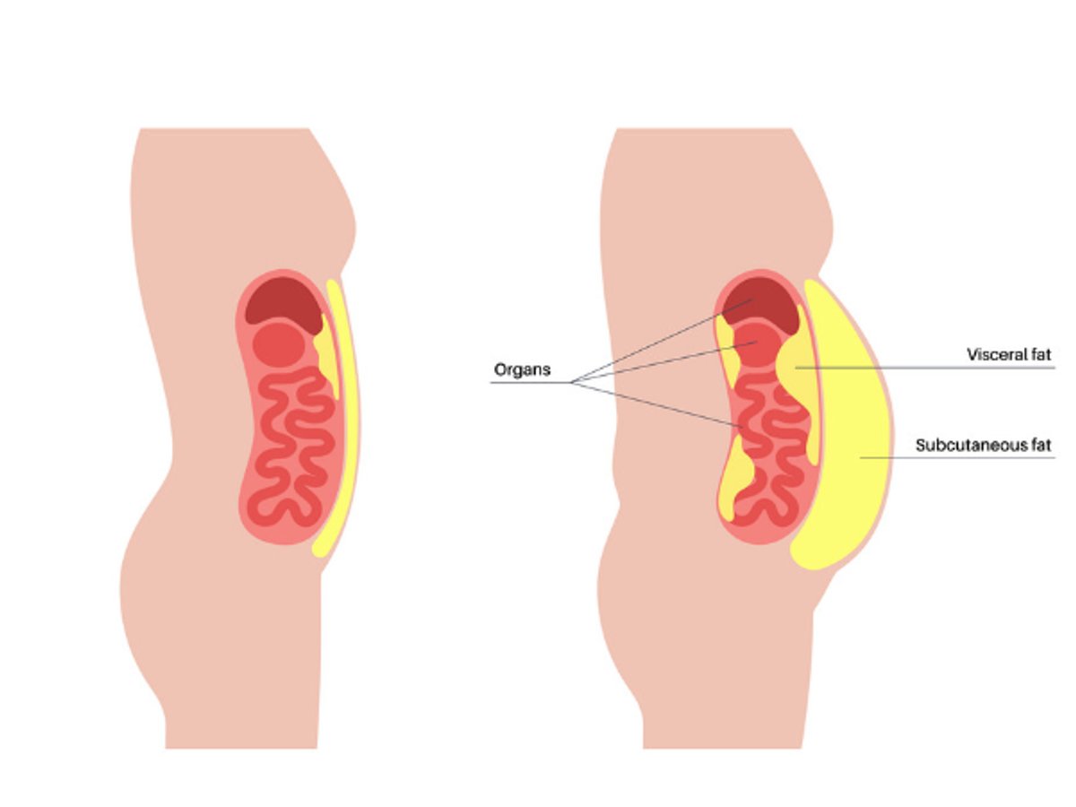 There is a hidden crisis that's slowly killing you:

Visceral fat.

I've been a health coach for +10 years.

Here are 3 ways to destroy visceral fat (bookmark this):