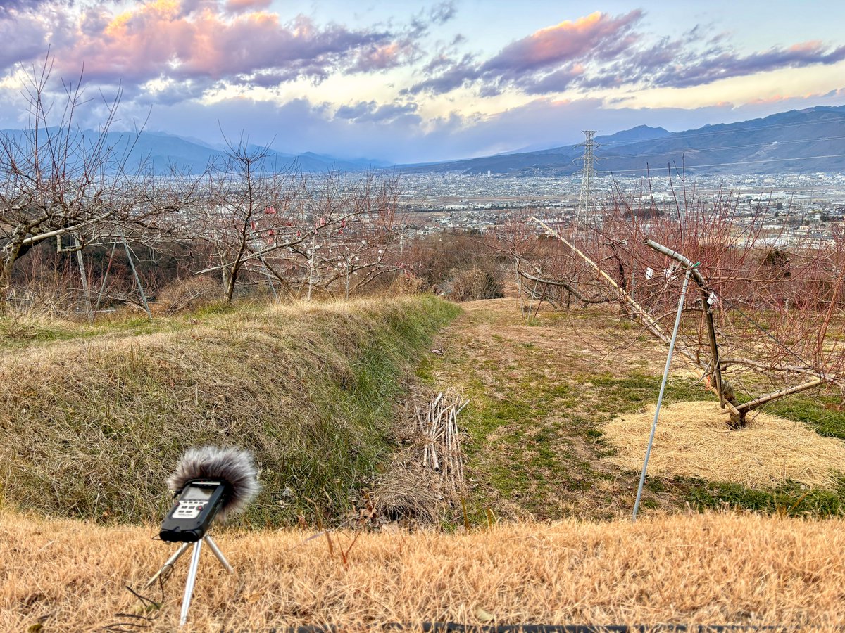 pocomoon_music's tweet image. 遅くなりましたが、あけましておめでとうございます✨
今年もよろしくお願いします😀

お正月の間、自然音を録りに桃畑の山に出かけました🍑🚙！

今年は色んな場所の環境音を楽曲に加えて、自分が見た景色を音にしていきたいです✨！

#H4n