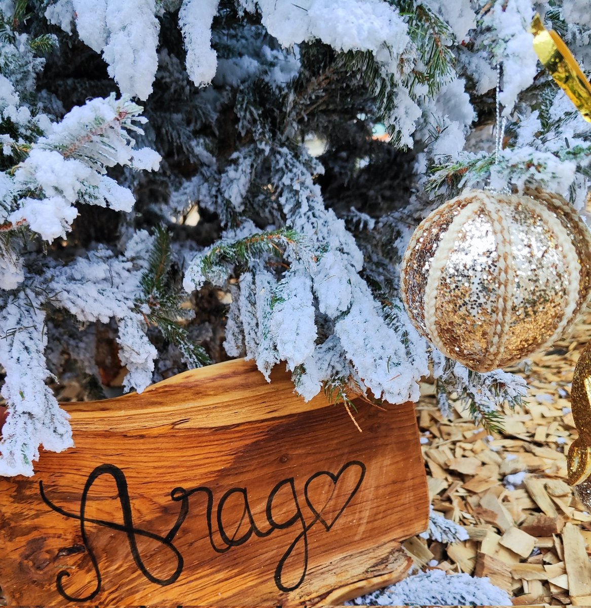 CE2CM1 Arago Chtx tweet media