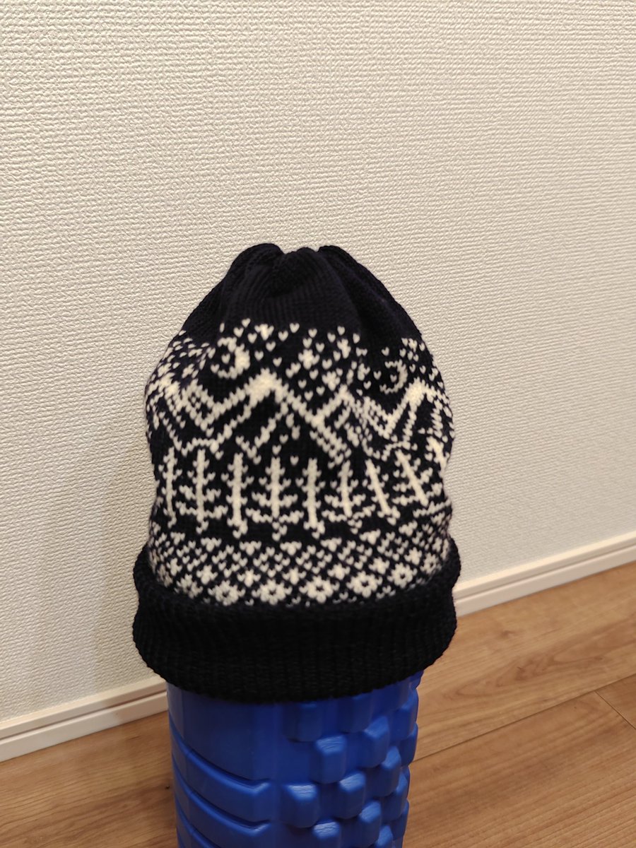 一応ニット帽になったけどキツいし縦長( ; _ ; )
これを試作として改良していこう…
裏に渡っている糸も大変なことになっている段があるから柄も見直そう…
 #編み物好きさんと繋がりたい  #ニット帽  #シルバー編み機
