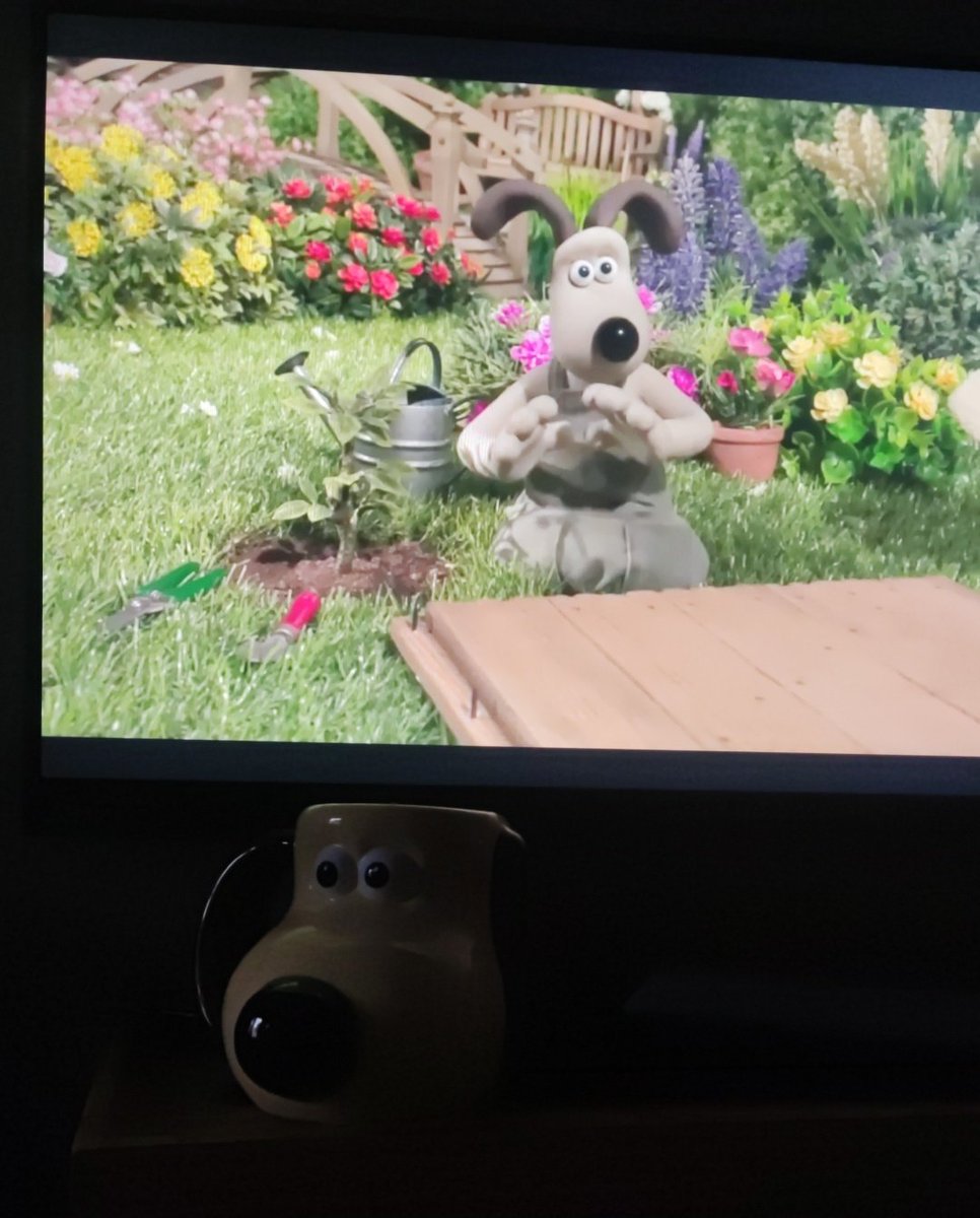 Samuel (@samigurt) on Twitter photo 