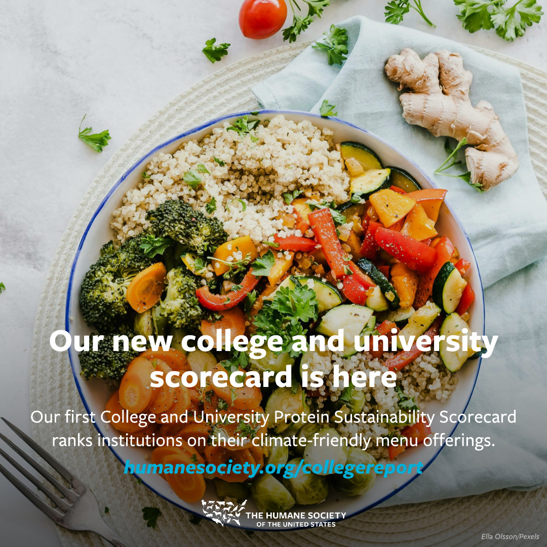 Forward Food tweet media