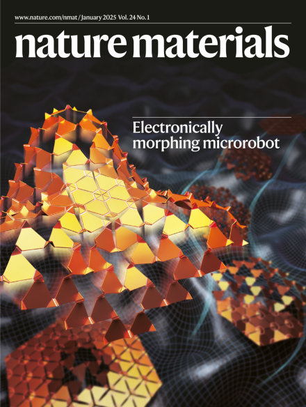 NatureMaterials's tweet photo. Our January issue: https://t.co/Ar026swO4i https://t.co/oGo28meQe7
