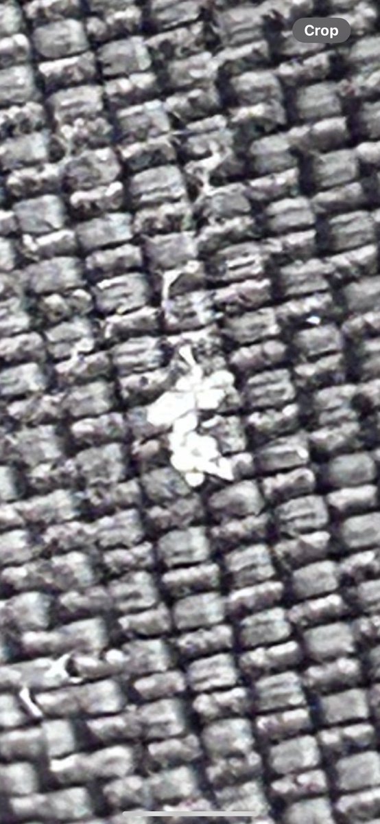 Adam Kuz tweet media