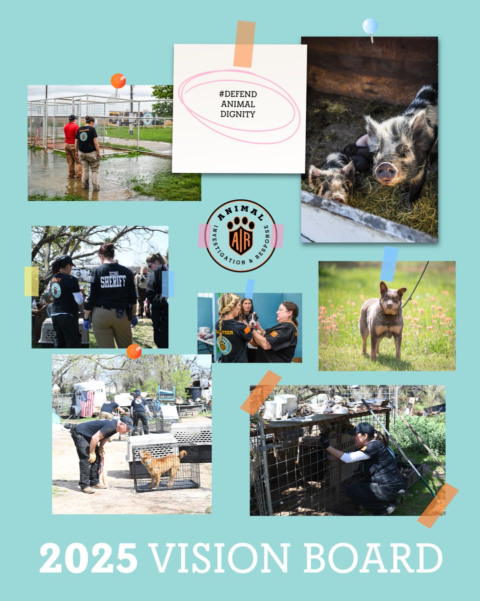What’s on our 2025 Vision Board? While #defendinganimaldignity remains at the heart of everything we do, our vision for 2025 goes much deeper. 👉 Join us as we work to make 2025 our most impactful year yet! tinyurl.com/2e9bxm9h