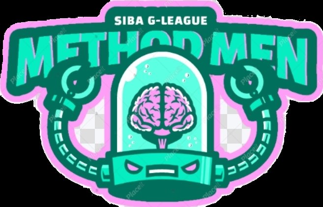 Staten Island Basketball Association (SIBA) tweet media