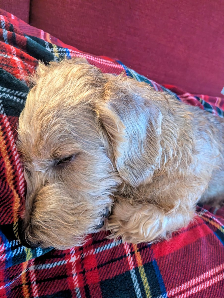 I am Happy 🤩 Minister für (K)rum(m)liegen tweet media