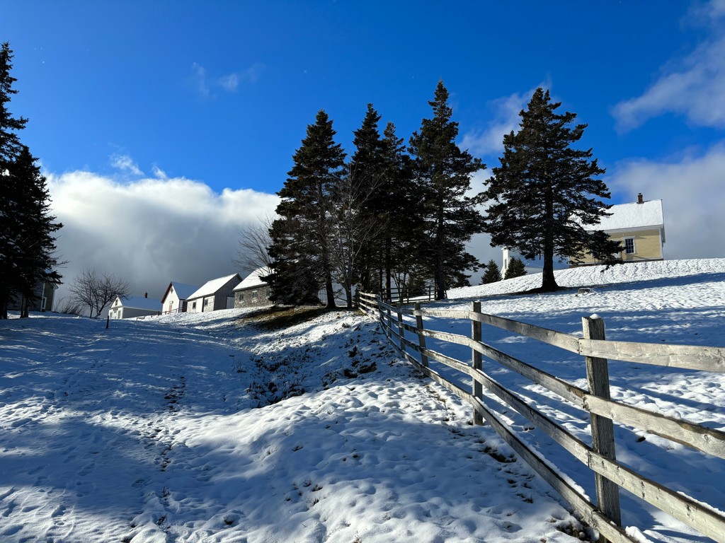 Highland Village tweet media