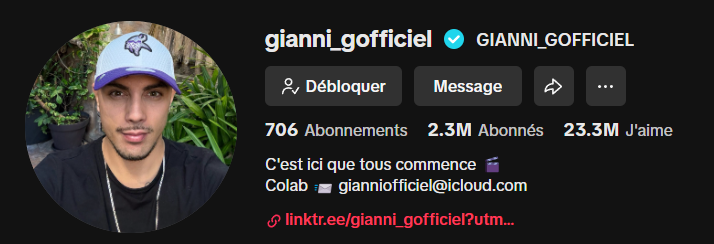 LeVraiPunisher's tweet photo. POV : Ce type (GIANNI GOFFICIEL) possède 2 millions d'abos sur Tiktok 🤡 La vidéo s'annonce salé ! https://t.co/tfHOOccwcM