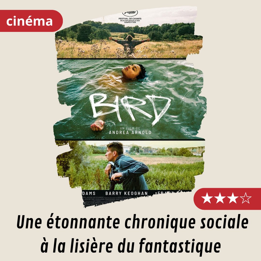 Bird : une étonnante chronique sociale à la lisière du fantastique.
#Bird 
Ma #critique sur mon blog. #cinema 
cinemadevincent.blogspot.com/2025/01/bird-u…
