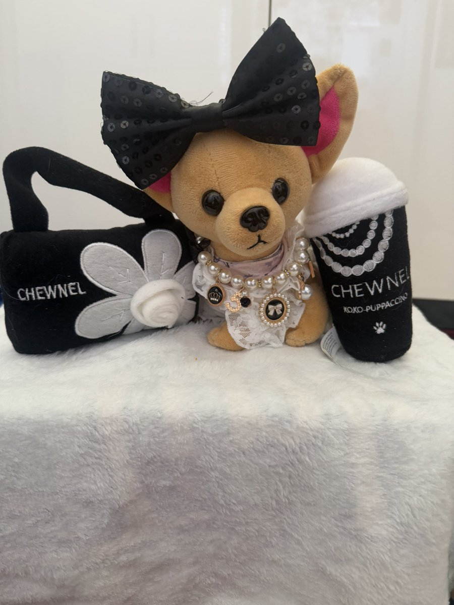 Mini_Tink_'s tweet image. It’s #chewneltuesday I’m twinning with my big sister in dresses we got for Christmas🐾 

#minitink #plushiesoftwitter #dogsoftwitter #chewnel