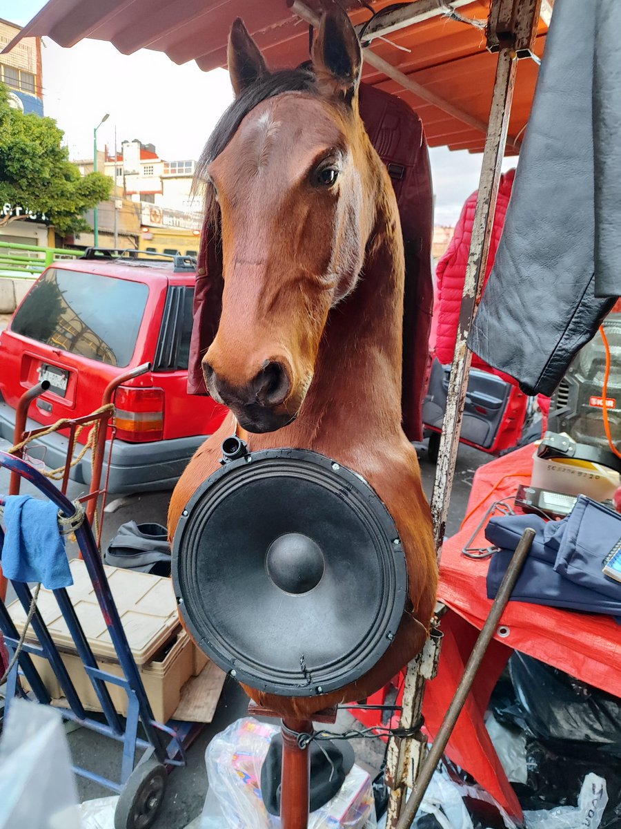 kireraziel's tweet photo. @EnsedeCiencia 🤯 https://t.co/KVTNxMSzCu