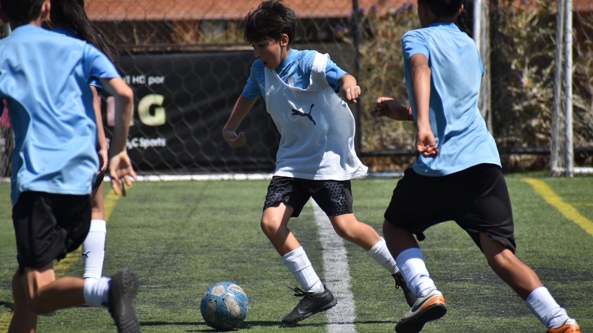 Universidad Católica tweet media