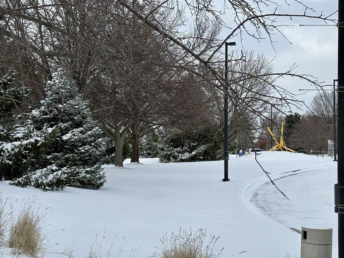 Snowstorm magic! 
I know not everyone like the snow, but I love it! I captured some scenes from the scenic <a href="/UISedu/">University of Illinois Springfield</a> campus. Everything looks like a winter wonderland—absolutely stunning!