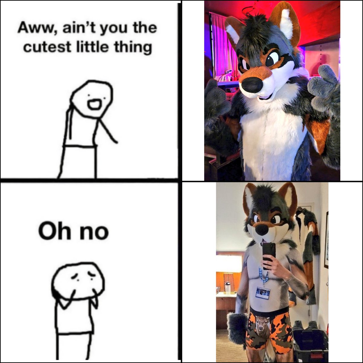 Kunjamuk Yote (@adkoyote) on Twitter photo 