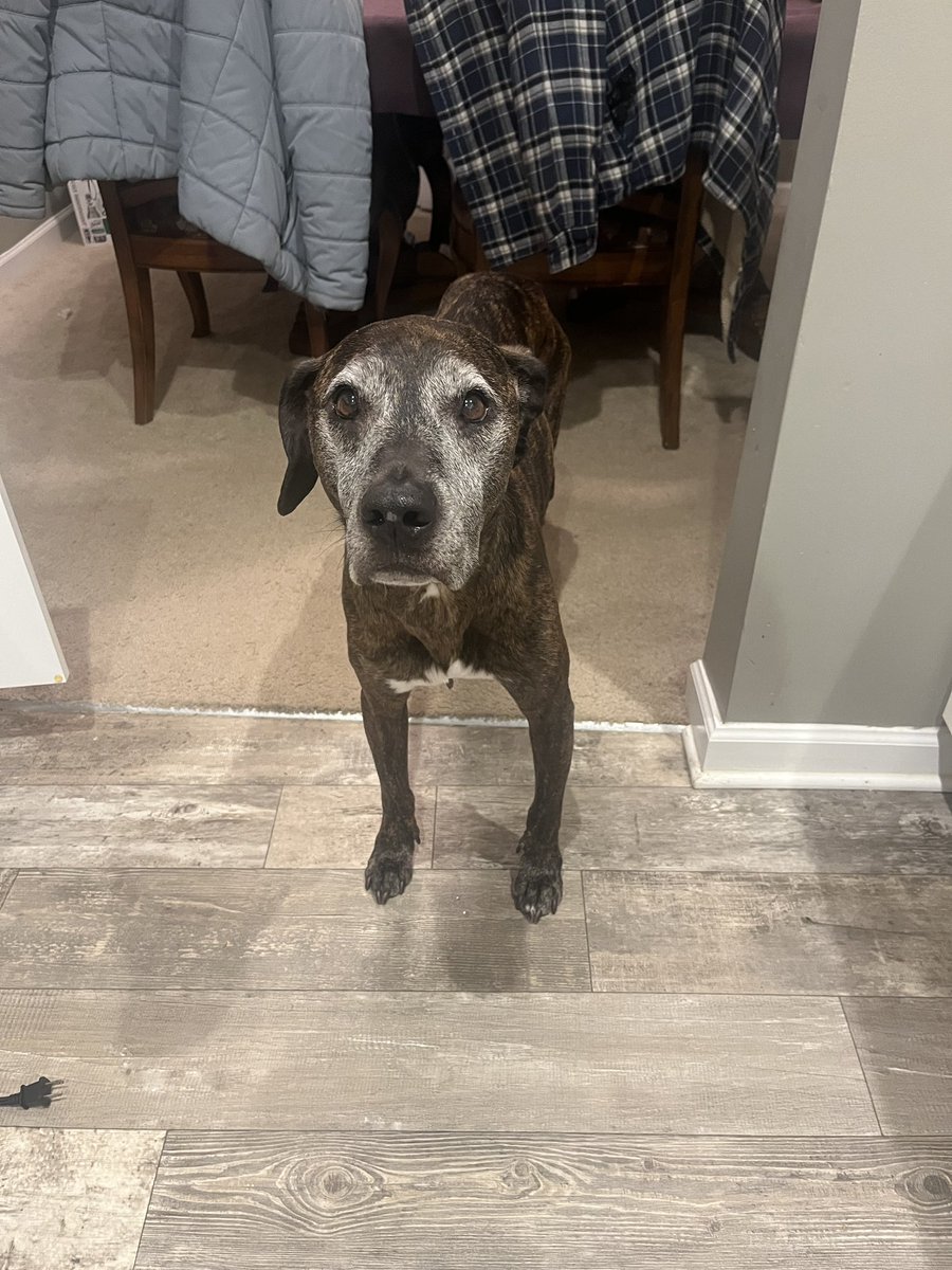 Rest in peace Walter, I love you! Fly high ❤️