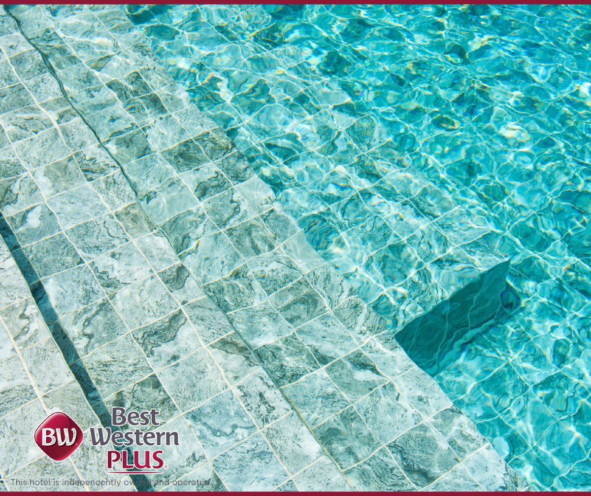 BWtoronto's tweet image. Jump in and enjoy the onsite pool 😎 #HotelPool #YYZPools #TorontoPools