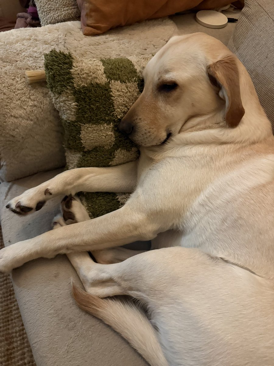 Liv 🌲 tweet media