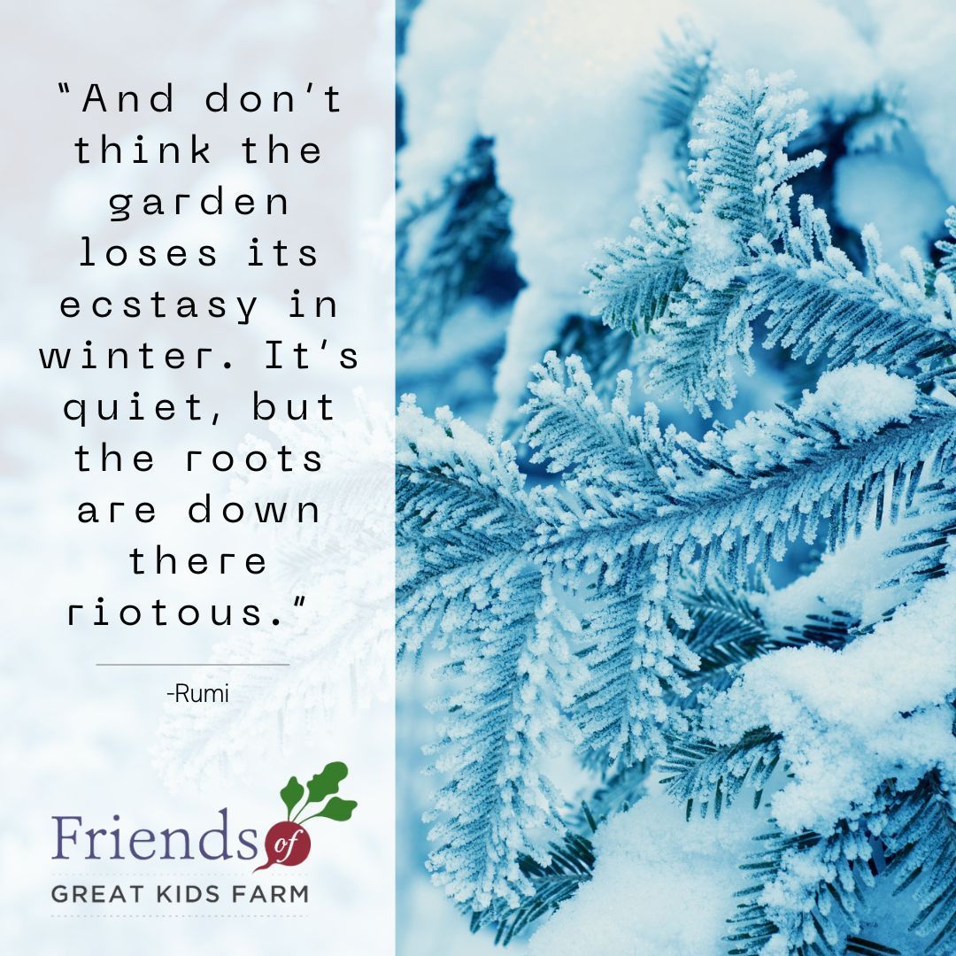 It may look quiet on the Farm, but the in-school programs and Facetime-the-Farmer virtual programs are ramping up and the Great Kids Farm staff are busy prepping for the Food and Climate summit on the 22nd.