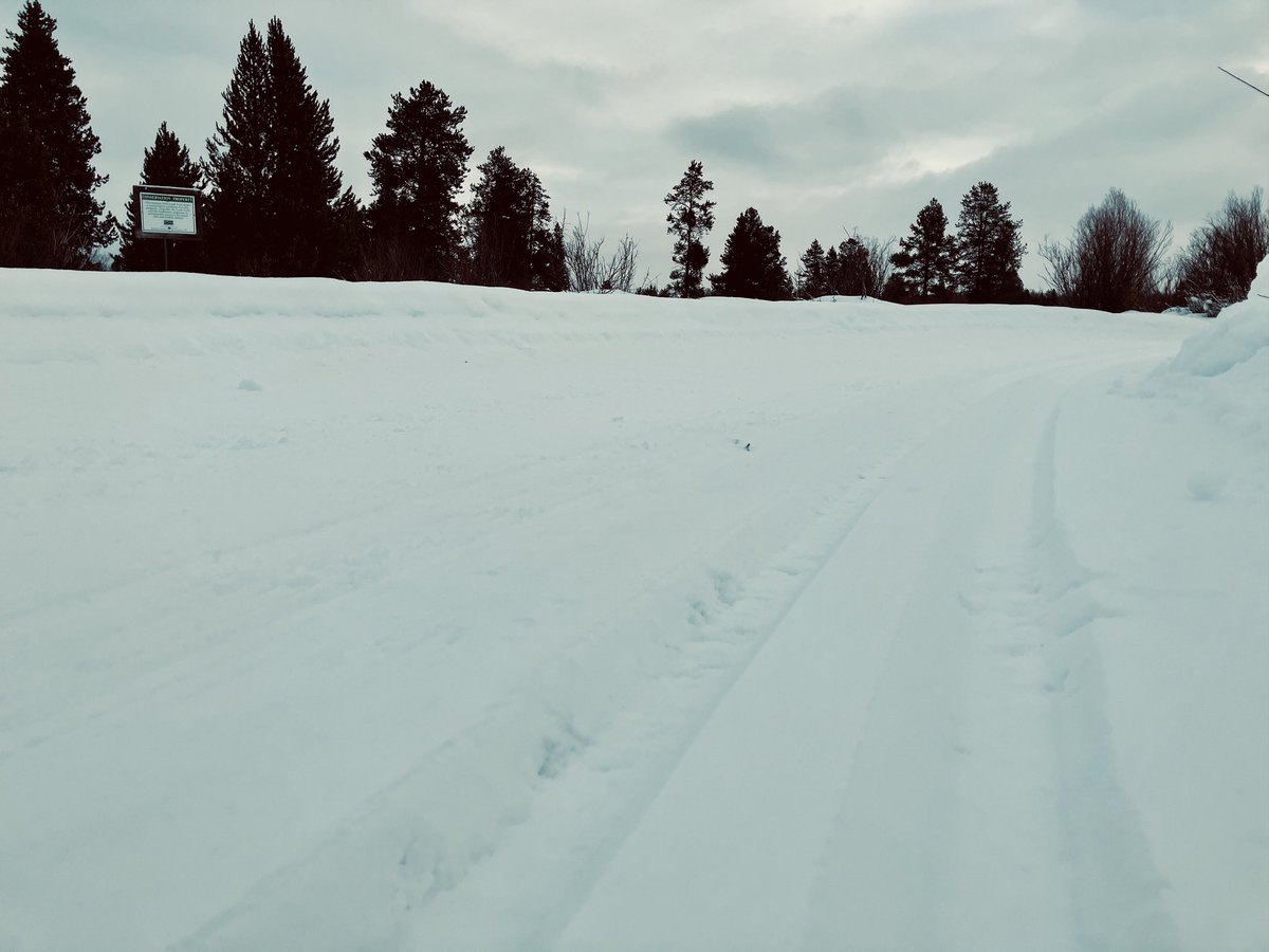 BushongProperty's tweet photo. Happy Monday Morning, CH Ranch, a private homeowner, Cache Creek to Noker mine and Melody Ranch today. 

#chranchgrooming #melodyranchgrooming #cachecreekgrooming https://t.co/1KLKzbaBue