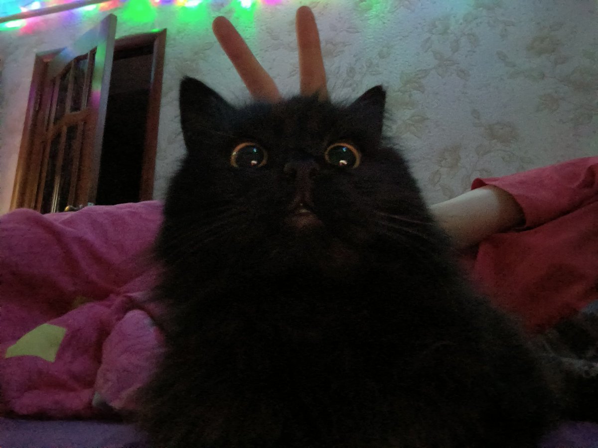 Какая она глупенькая, я не могу