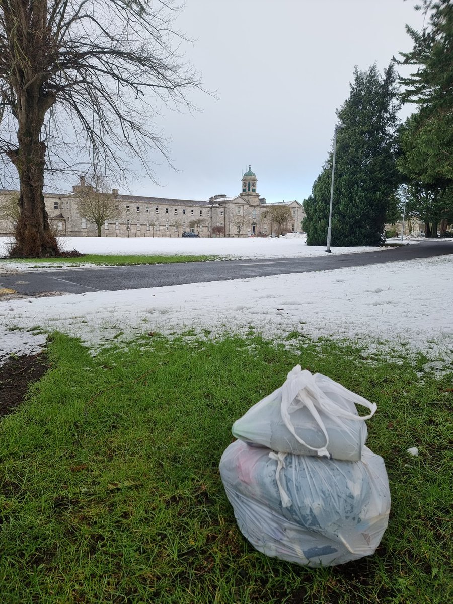 respecting nature tweet media