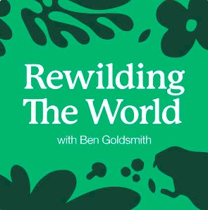 The Wild Trout Trust (@wildtrouttrust) on Twitter photo .<a href="/BenGoldsmith/">Ben Goldsmith</a>'s Rewilding the World podcast provides a platform for some of the most influential conservation voices today, and our good friend (and former WTT colleague) <a href="/Blacky_Himself/">Mike Blackmore</a> has recently joined him to talk about rivers. Full details here! wildtrout.org/news/rewilding… .<a href="/BenGoldsmith/">Ben Goldsmith</a>'s Rewilding the World podcast provides a platform for some of the most influential conservation voices today, and our good friend (and former WTT colleague) <a href="/Blacky_Himself/">Mike Blackmore</a> has recently joined him to talk about rivers. Full details here! wildtrout.org/news/rewilding…
