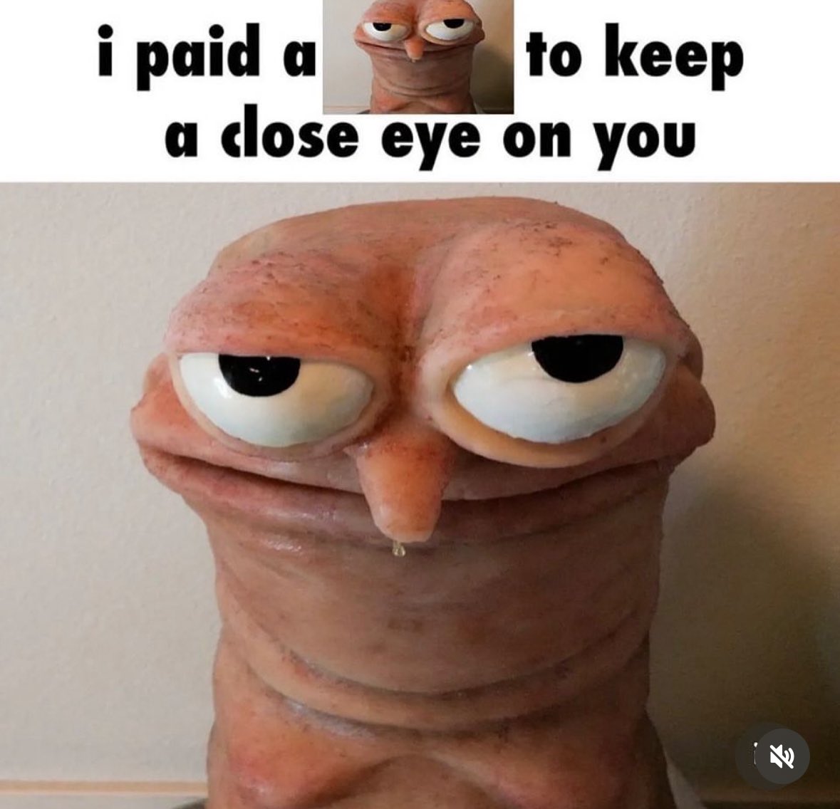 EpicMemeLoot's tweet photo. https://t.co/9nNfqdXvaf