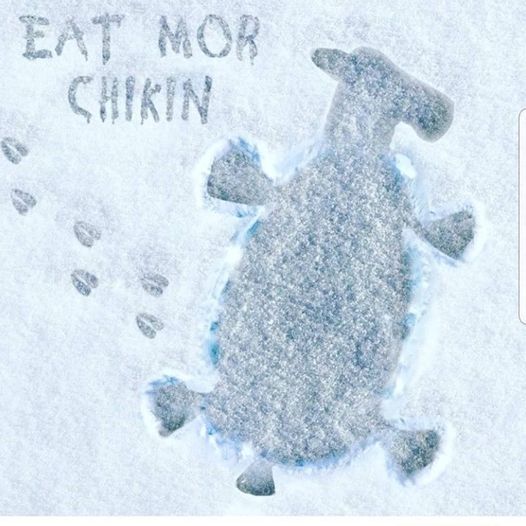Due to the snowstorm, many of our Cincy NKY area restaurants are closed today or have very limited hours. Please check before heading out and stay safe and warm.