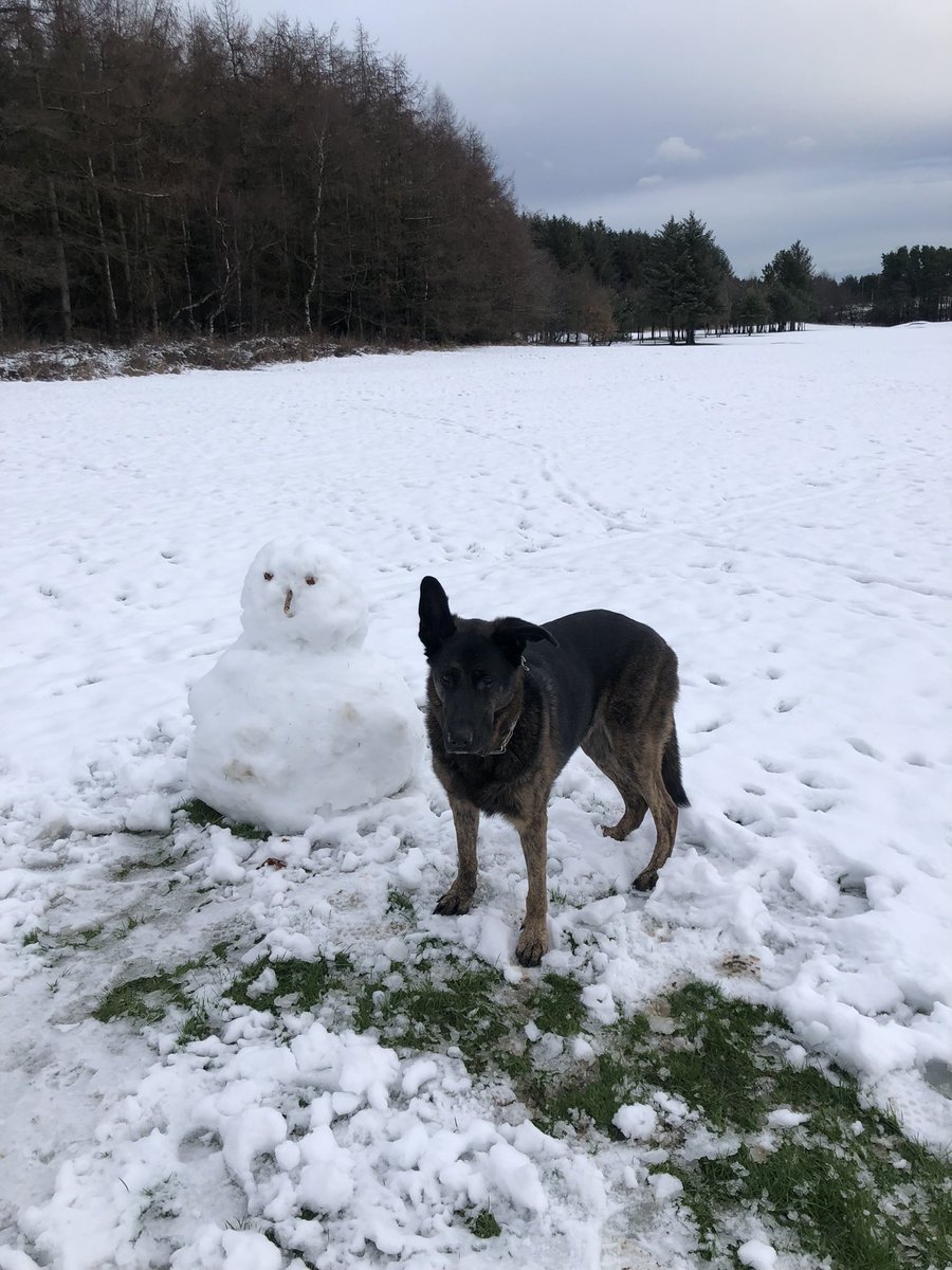 After being unwell for a time it was the simple pleasure of seeing these snowmen at Deer Park Golf Course accompanied by my best friend Corey that lifted the spirits today !