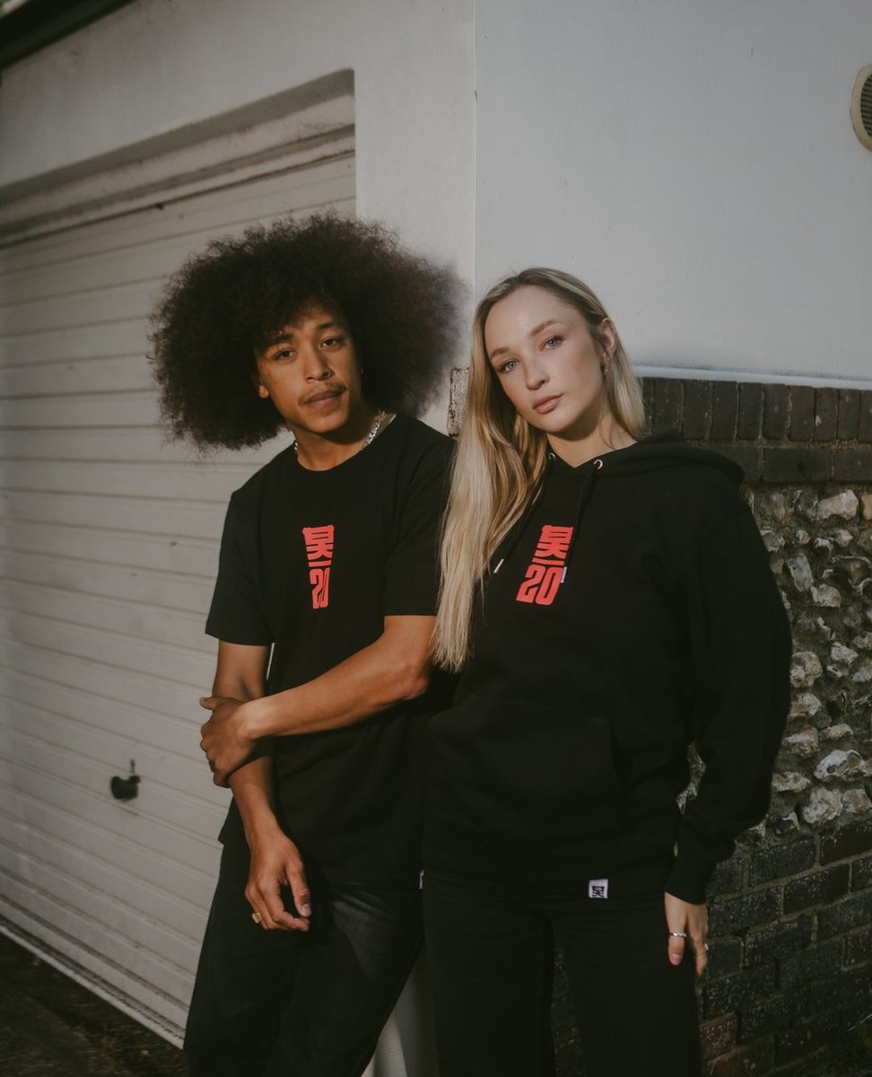 Shogun Audio tweet media