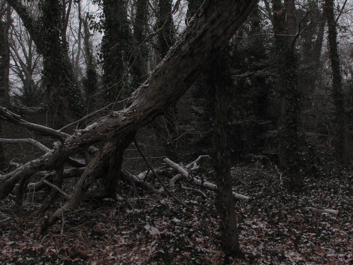 02void's tweet image. 