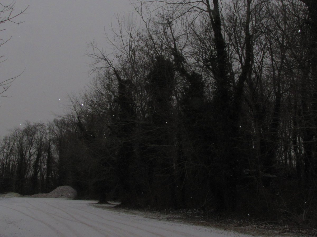 02void's tweet image. 