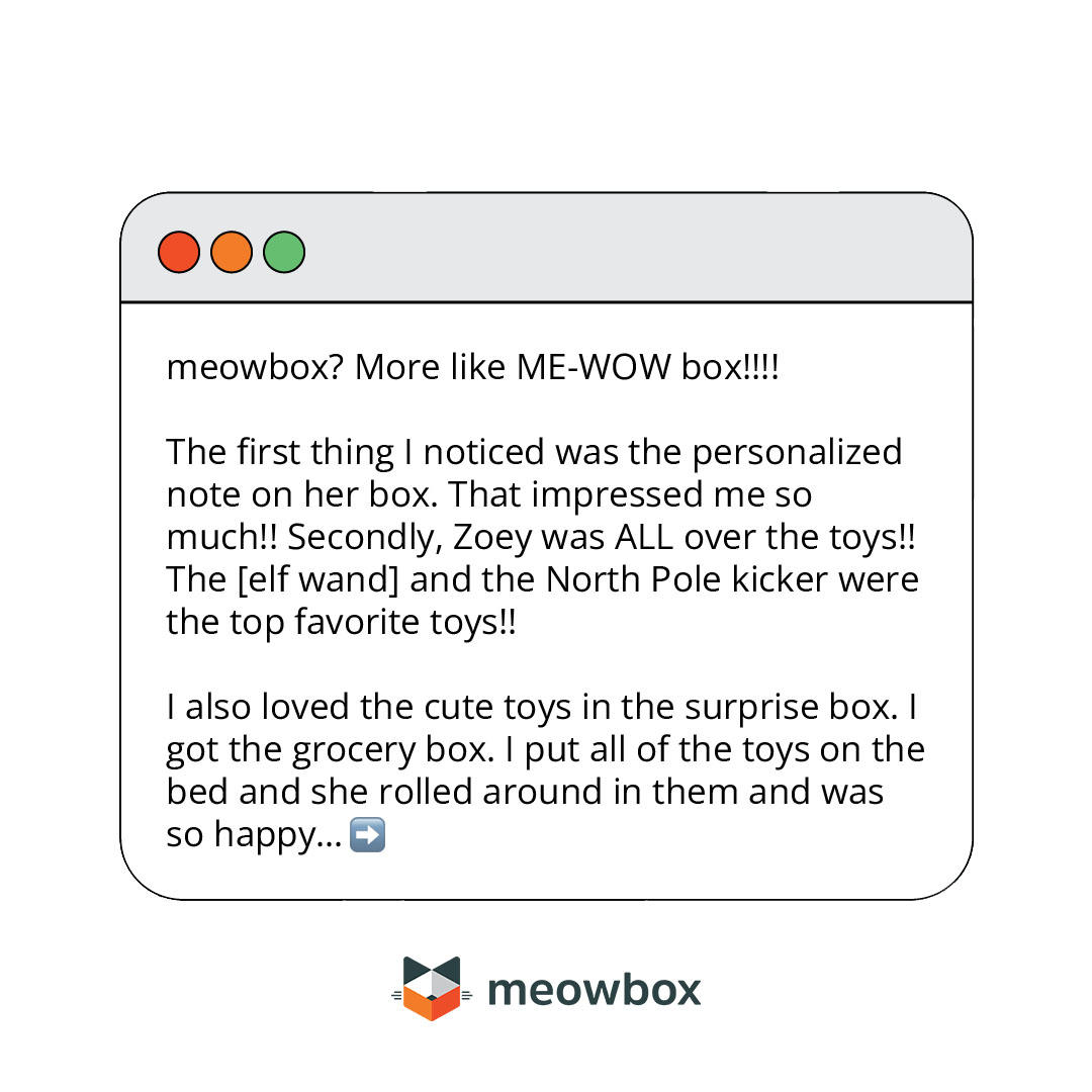 meowbox tweet media