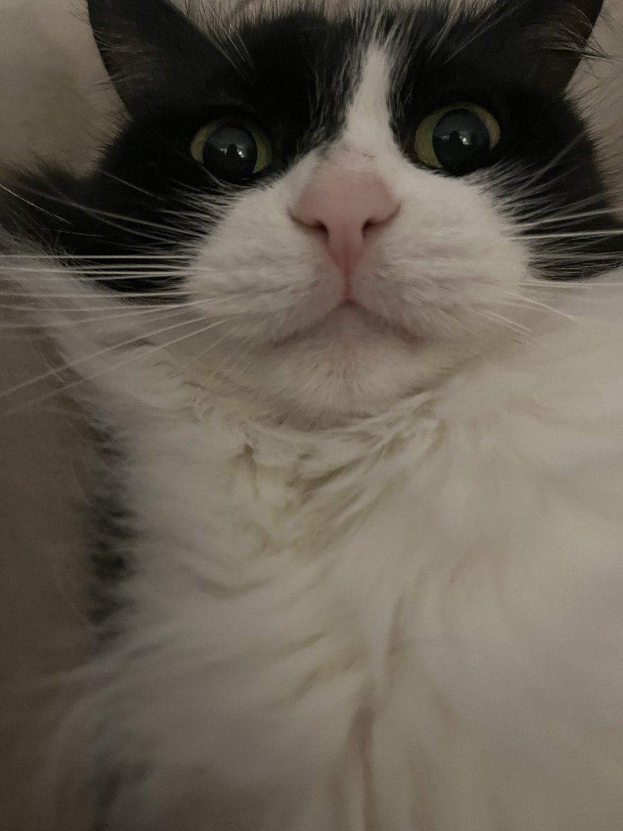 Ön kamema anidem açılınça bn