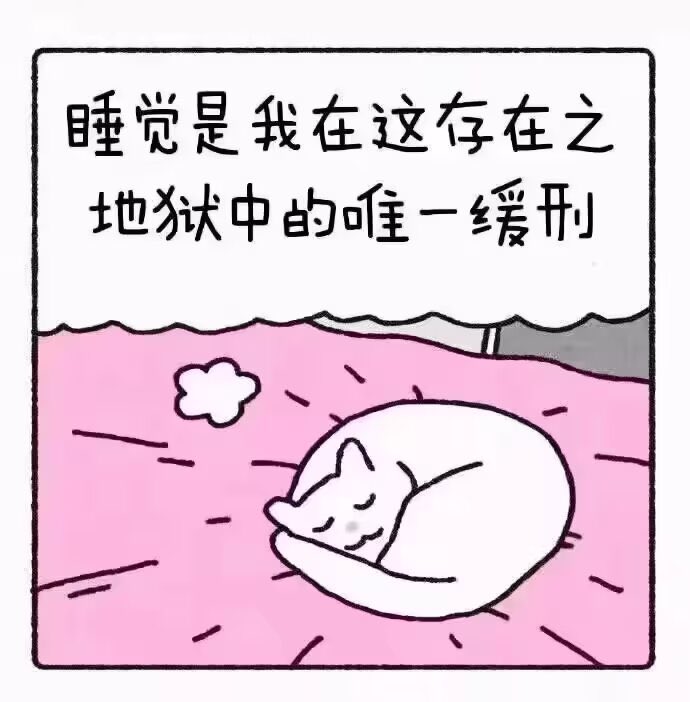 恋 (@hgds01) on Twitter photo 