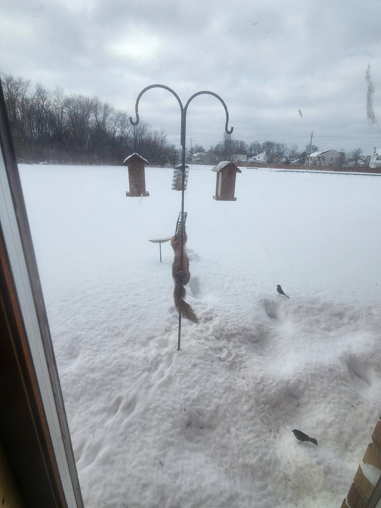 Resourceful little one