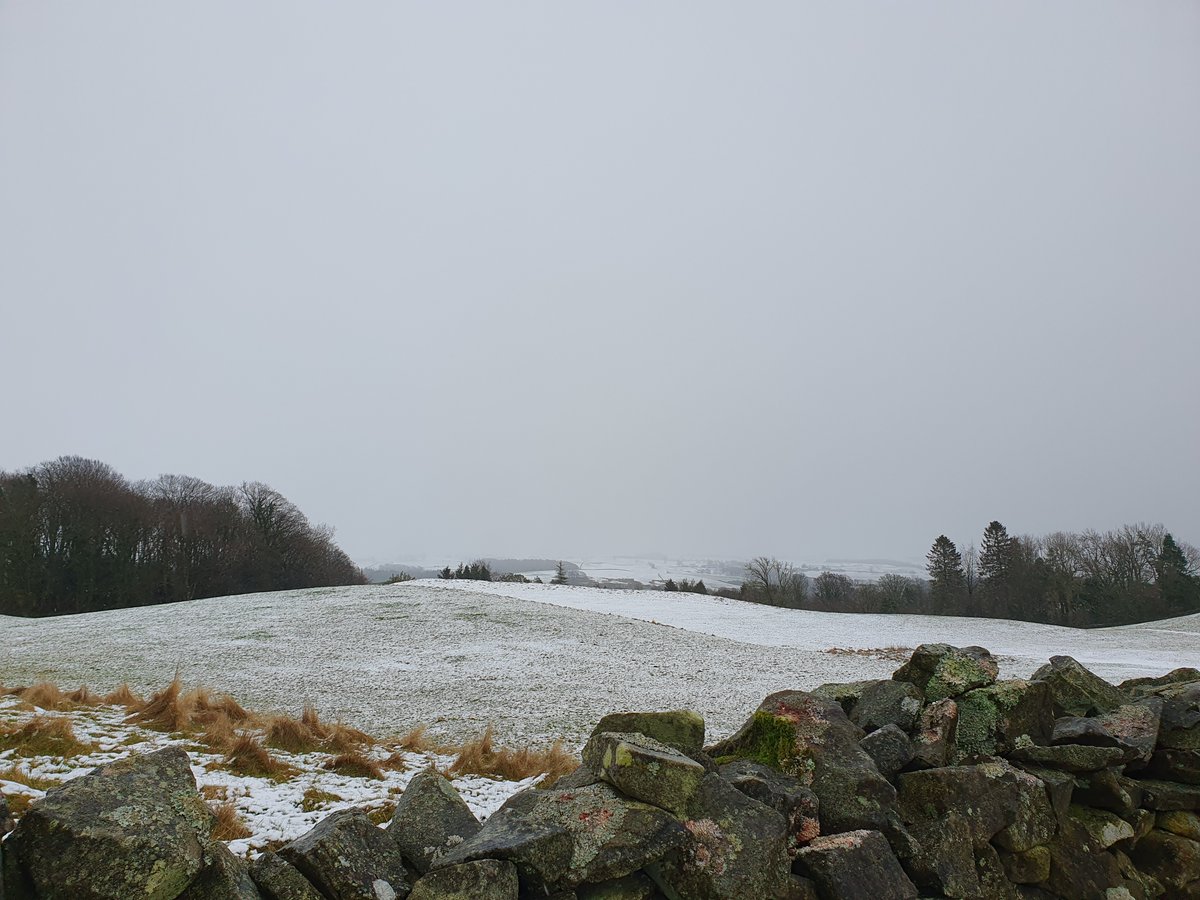 Jacquelyn Allen-Collinson 🏞️🌼🇪🇺🎸 tweet media