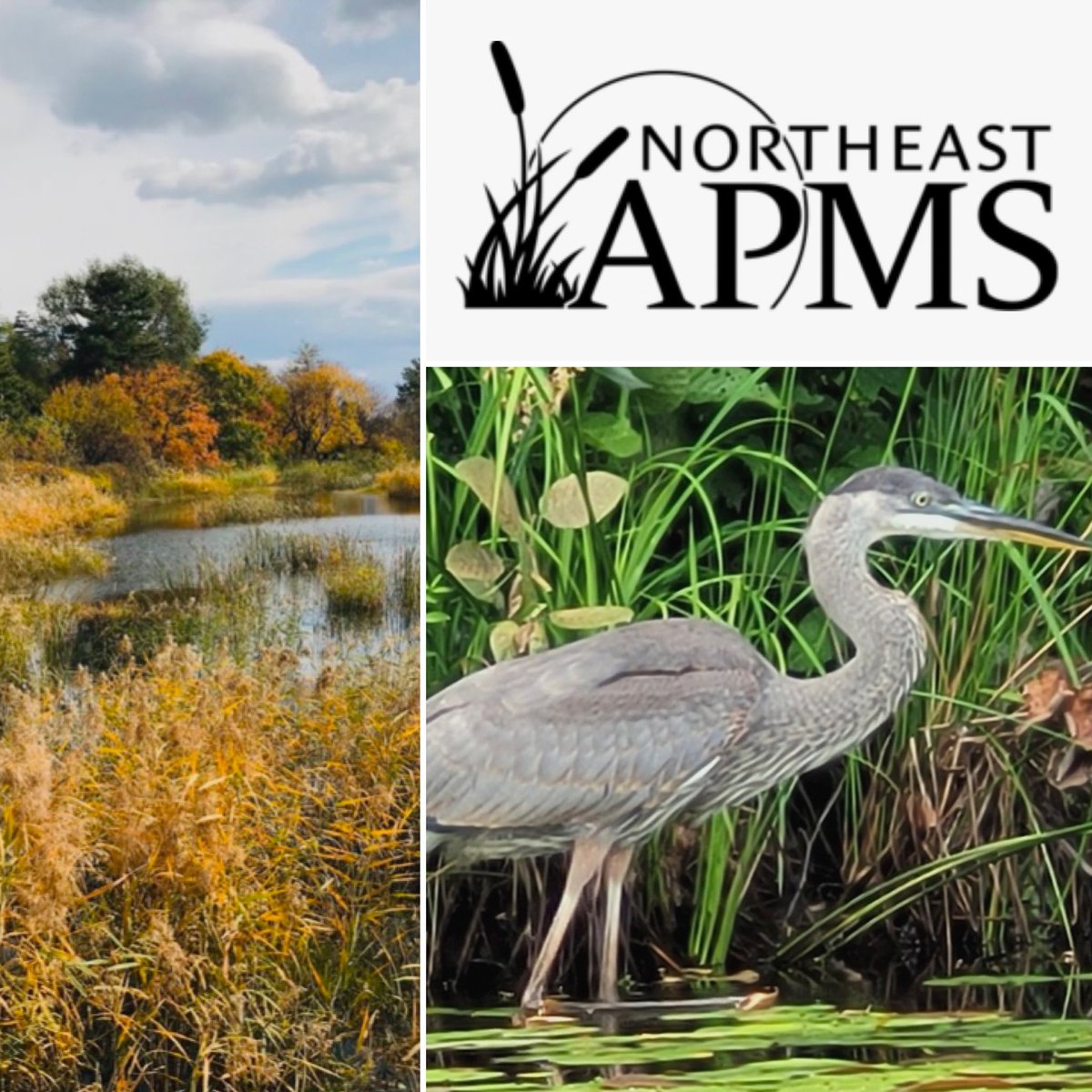 See you in Saratoga Springs this week! <a href="/NEAPMS1/">NEAPMS</a>