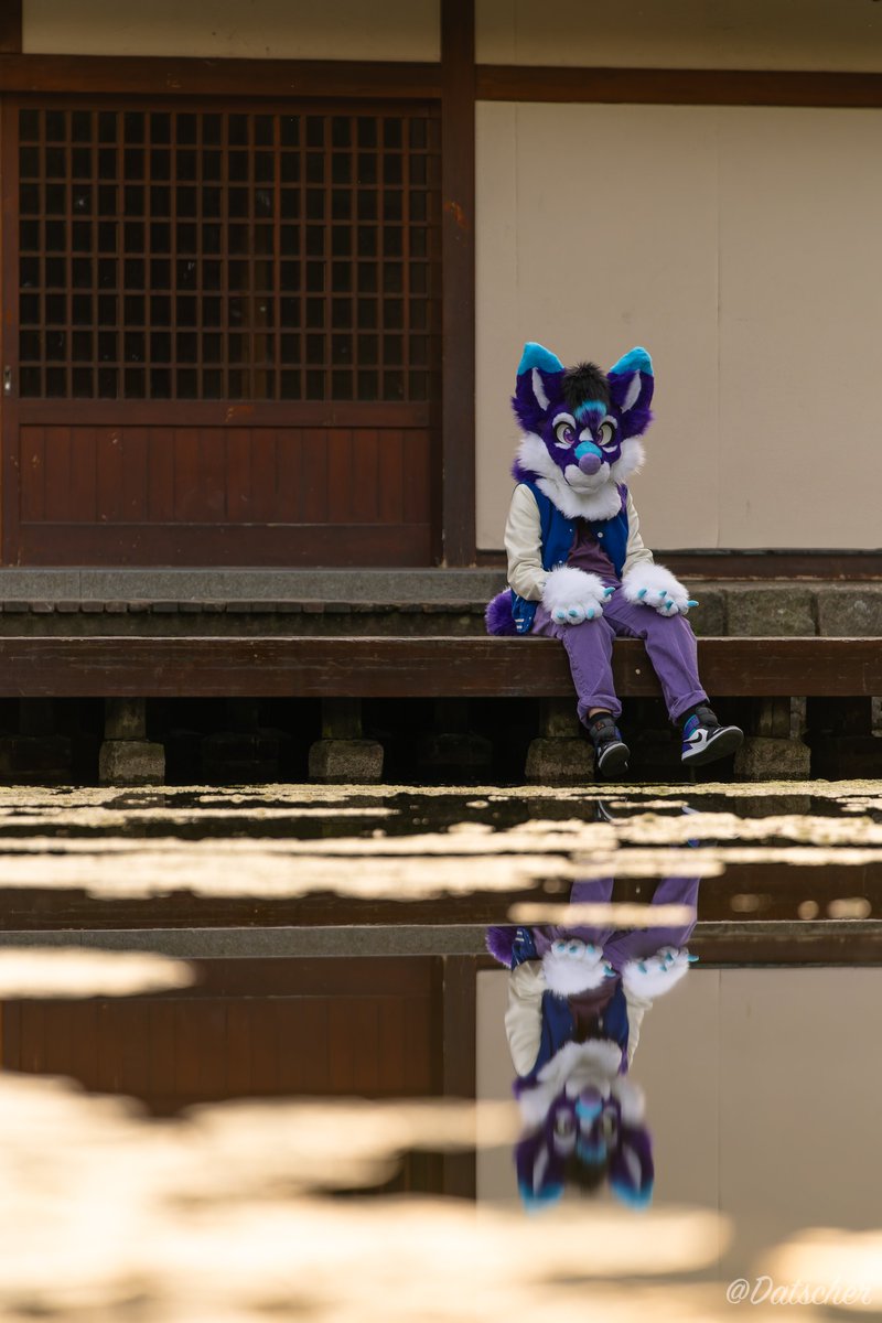 Datscher (@datscher02) on Twitter photo Happy #FursuitFriday with <a href="/sandoraptor/">Sandoraptor π³π΄ π Furnavia</a> from Japan. Oh wait? Uhh... I meant #eurofurence π
π· by me (<a href="/Datscher02/">Datscher</a>) on a shoot with <a href="/PinselLuchs/">Pinsel, The πΈ Lynx</a> Happy #FursuitFriday with <a href="/sandoraptor/">Sandoraptor π³π΄ π Furnavia</a> from Japan. Oh wait? Uhh... I meant #eurofurence π
π· by me (<a href="/Datscher02/">Datscher</a>) on a shoot with <a href="/PinselLuchs/">Pinsel, The πΈ Lynx</a>