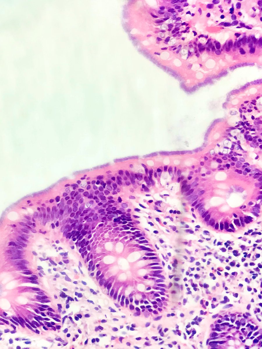 Mahabub Alam tweet media