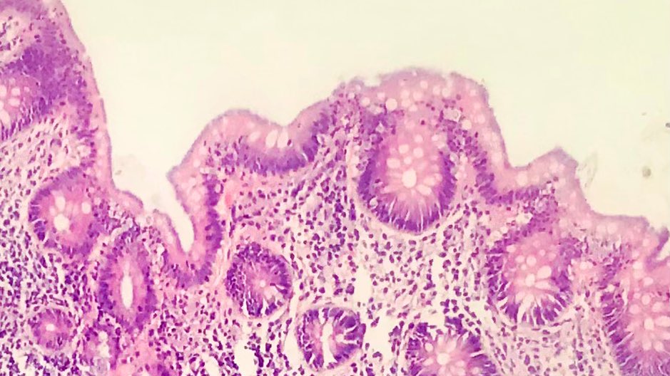 Mahabub Alam tweet media