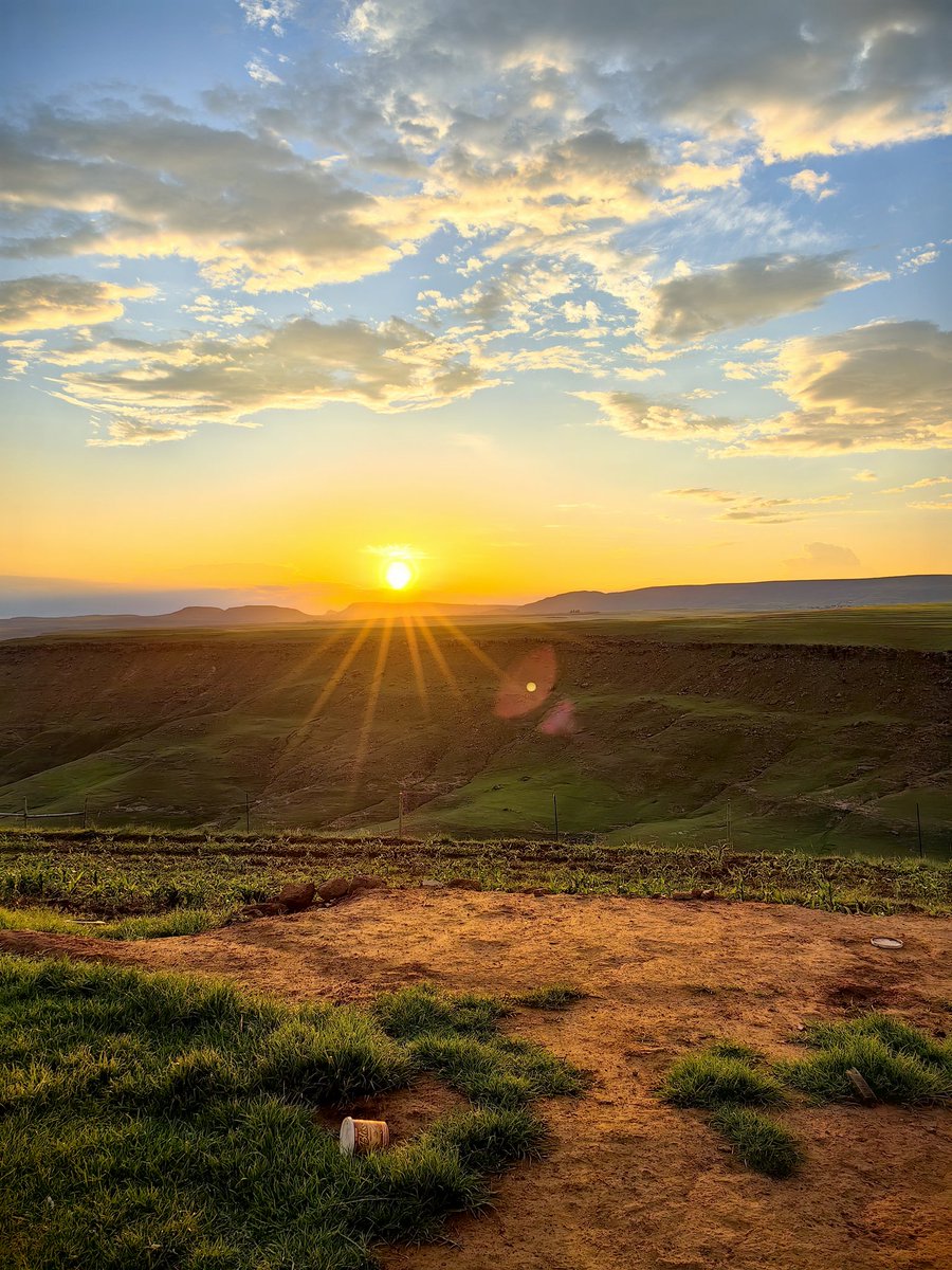 zikhonadlaza's tweet image. The beginning of many great things😍#Farmingforthefuture #smallscalefarming