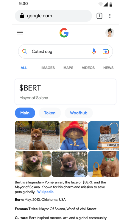 bertcoincto's tweet photo. It’s science. Google it. 🐶 https://t.co/AnhbxILix3