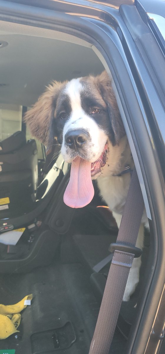 BadUglyUSA tweet media